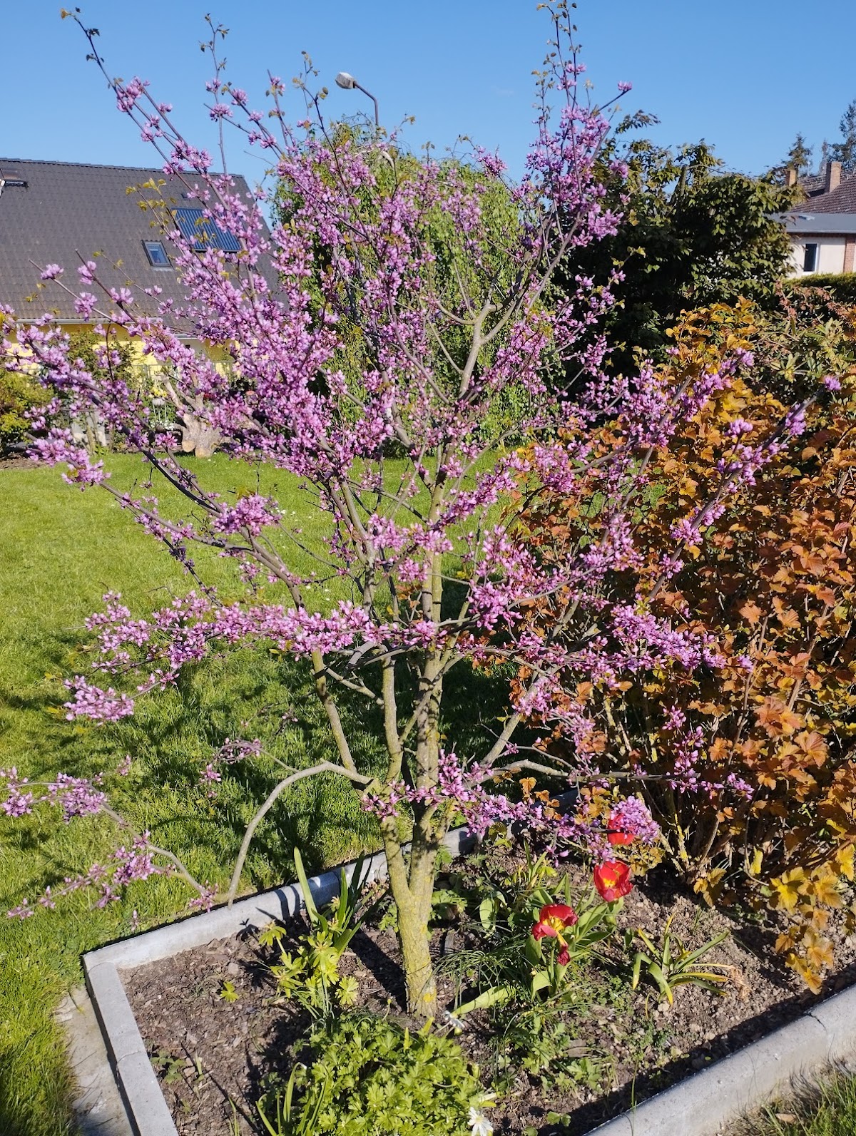 gp_69f7db2875ee8