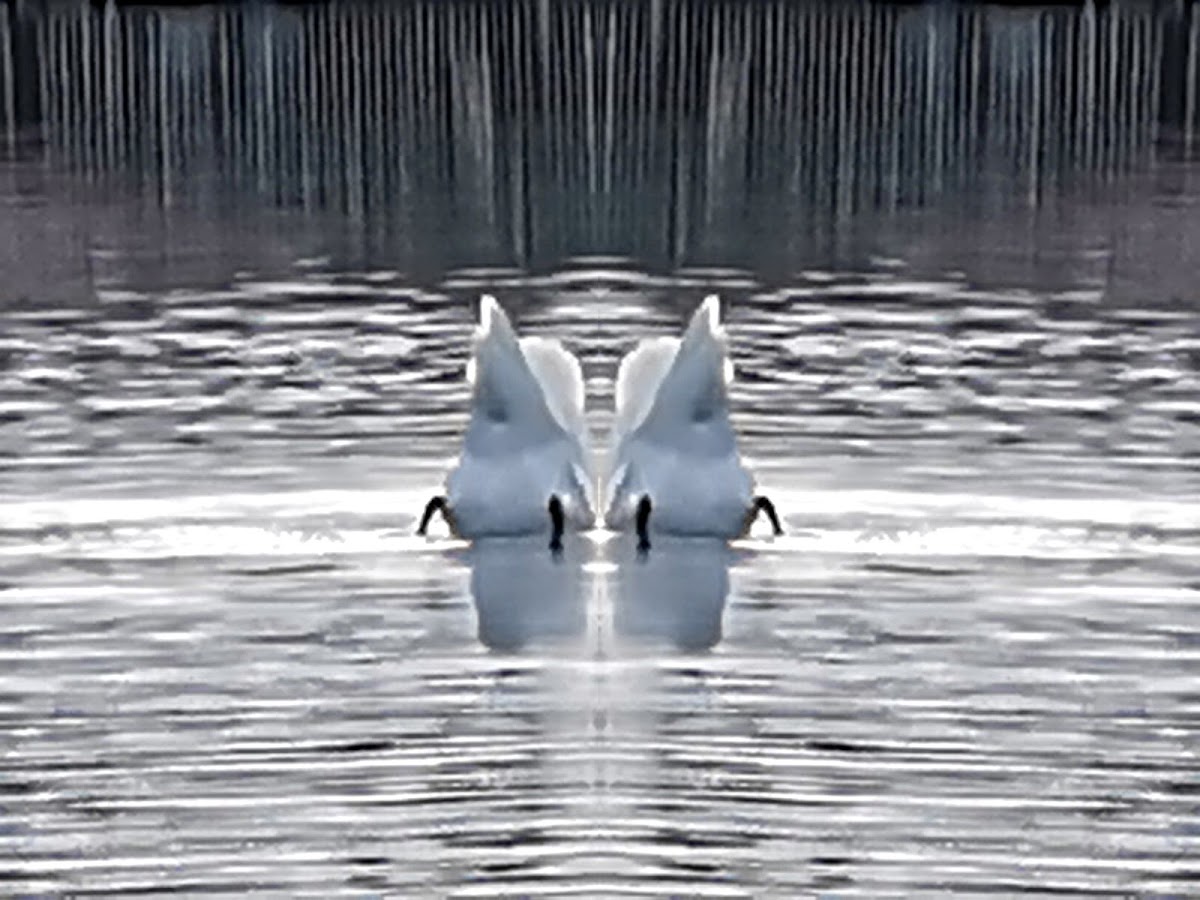 gp_69f7c56b09e8b