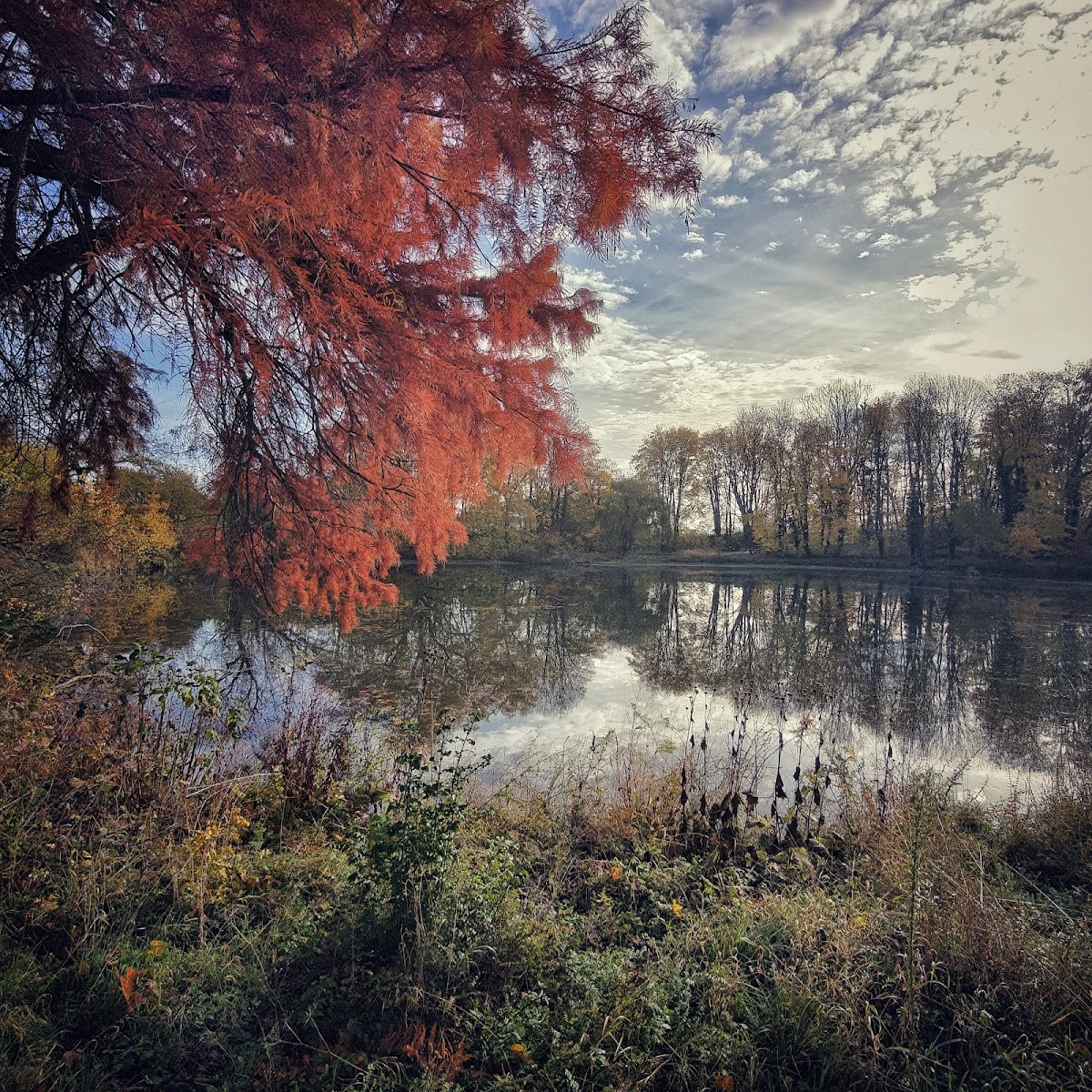 gp_69f7c8ddd9014