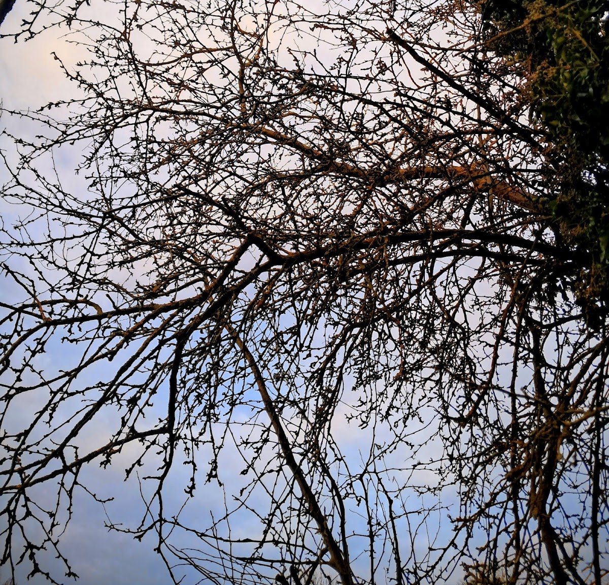 gp_69f7c8f58d4db
