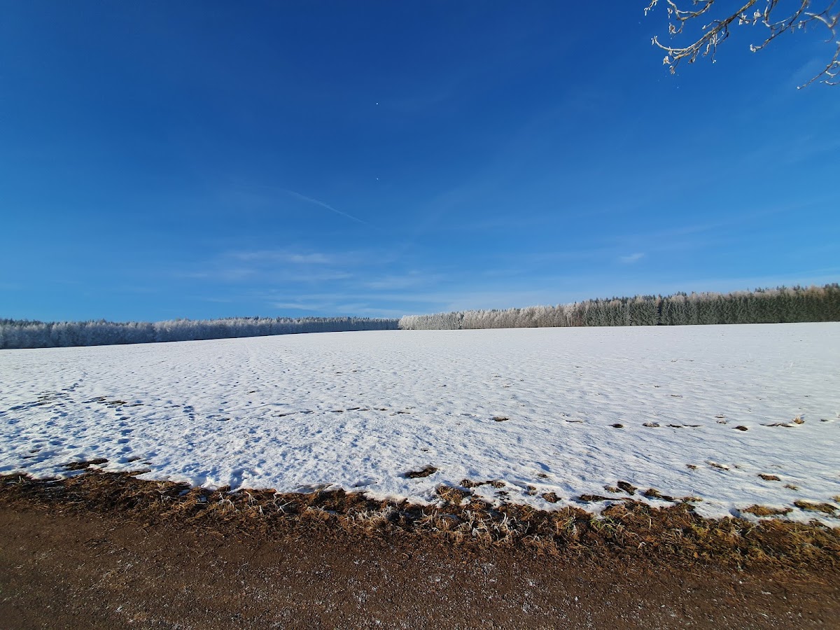 gp_69f7cdb58bd3c